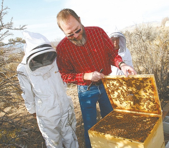 Jim Grant/Nevada AppealCarson City resident and beekeeper James Ellis inspects a dormant colony of bees last week in southeast Carson City while his sons Bill, left, and Tyler look on. Both boys are learning the beekeeping business from their father.