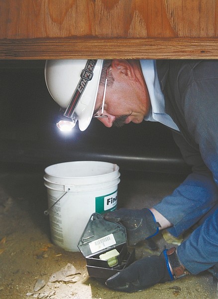 Jim Grant/Nevada AppealJohn Inwood of Catseye Pest Control inspects a rodent bait box located in the crawl space under a Carson City home on Monday.
