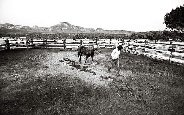 Ranch hand Nate Easterday walks his horse in a corral at Twin Springs Ranch as the sun rises on the Reveille Mountains. Twin Springs has operated along the Reveille Range since the late 1860s, almost as long as Nevada has been a state.