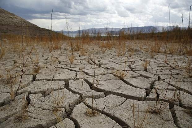 FILE - In this May 18, 2015, file photo, plants grow out of dry cracked ground that was once underwater near Boulder Beach in the Lake Mead National Recreation Area near Boulder City, Nev. A panel gauging the effect of drought in Nevada is due to hear from farmers, tribes, environmentalists, water officials and others at a state Department of Agriculture hearing in Sparks. State Climatologist Doug Boyle is also expected to update current conditions during the Nevada Drought Forum on Wednesday, Aug. 19, 2015. (AP Photo/John Locher, File)