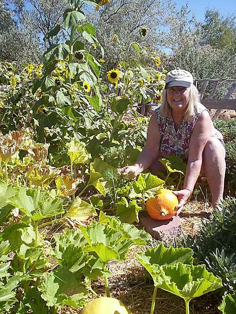 Marcia Litsinger shows off a pumpkin growing at her market garden, Churchill Butte Organics. The Litsingers are part of the coalition of organic producers creating a new private organization, Basin and Range Organics, to continue organic certification in Nevada.