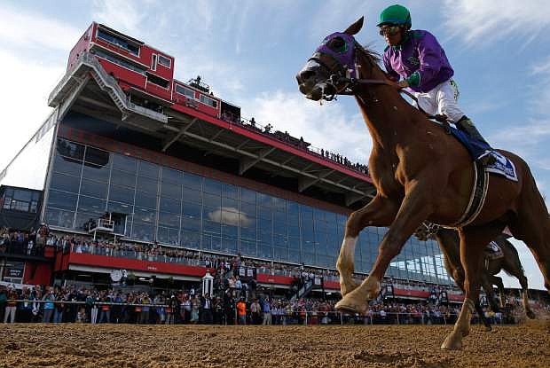 California Chrome, ridden by jockey Victor Espinoza, wins the 139th Preakness Stakes horse race at Pimlico Race Course, Saturday, May 17, 2014, in Baltimore.  (AP Photo/Matt Slocum)