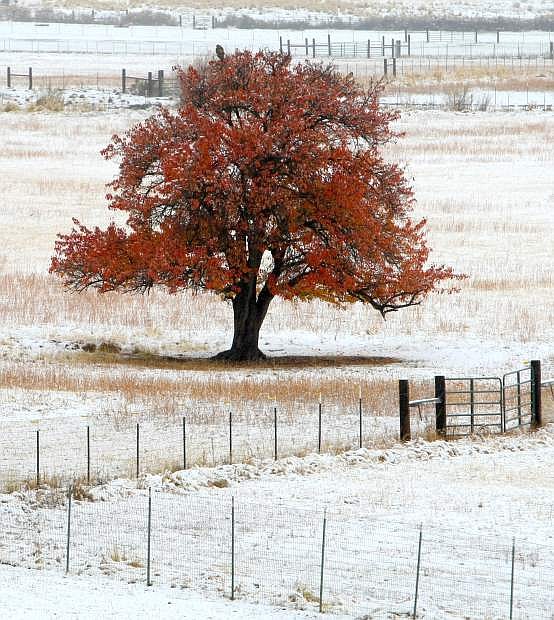 Nearly two inches of snow fell in Washoe valley on Monday.