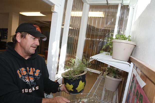 Volunteer Mark Olsen, who designed and built a greenhouse in the new STEM lab at the Children&#039;s Museum of Northern Nevada adds plants to the shelves of the greenhouse.