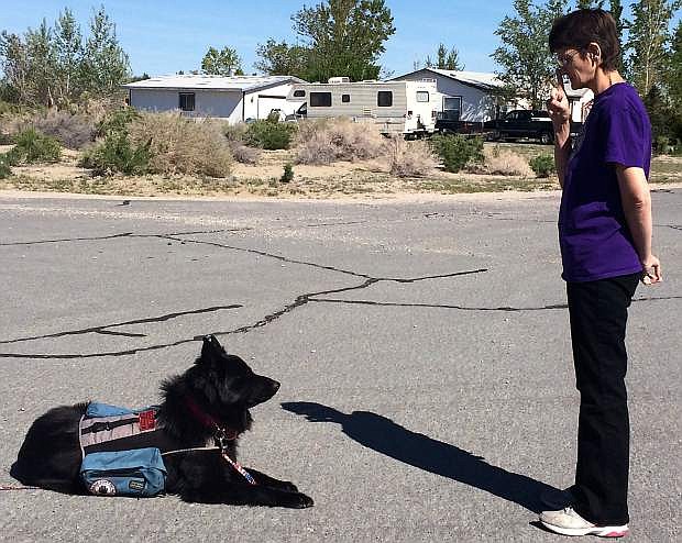 Margaret Lowndes asks Teddy, a service dog, to focus on her before giving him instructions for his next command.