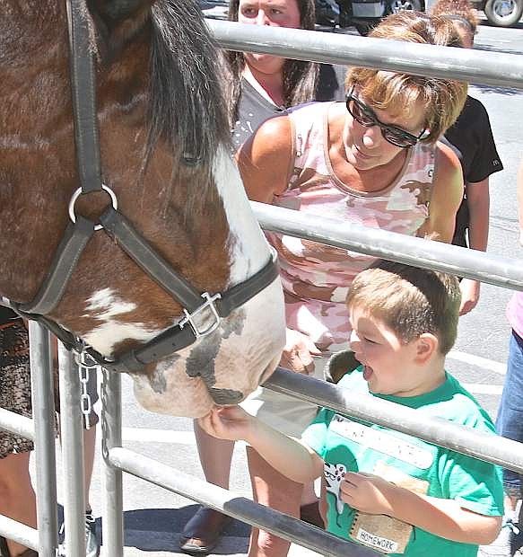 6-year-old Jaiden Meyers feeds a carrot to Clydesdale horse &#039;Moses&#039; Saturday at the STEP fundraiser at the C-A-L Ranch store on N. Carson St. The Sierra Therapeutic Equestrian Program was raising funds for veterans and their dependents as well as the Boys and Girls Club.