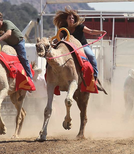 Teri Vance competes in last year&#039;s International Camel Races in Virginia City. This year&#039;s races will be Friday through Sunday.