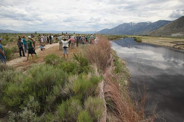 More than 50 people, attending a watershed tour on Tuesday, gather along the east channel of the Brockliss slough that runs through the River Fork Ranch.