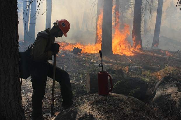 A Hotshot fire crew member rests near a controlled burn operation at Horseshoe Meadows, as crews continue to fight the Rim Fire near Yosemite National Park in California on Sept. 4.