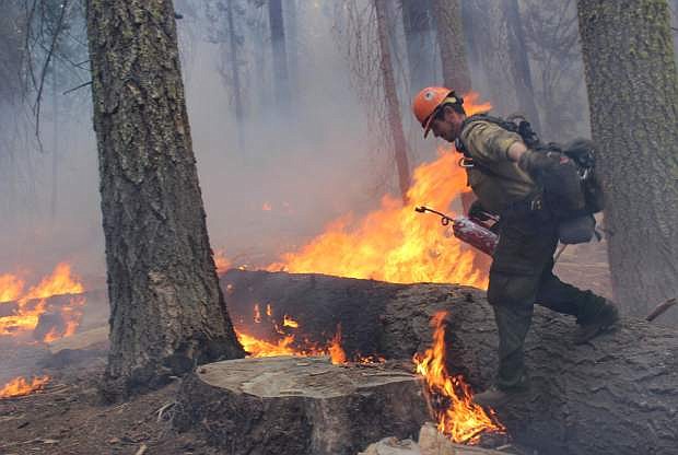In this photo provided by the U.S. Forest Service, a firefighter walks near a burn area during operations against the Rim Fire near Yosemite National Park in California Sunday, Sept. 1, 2013. The massive wildfire is now 75 percent contained according to a state fire spokesman. (AP Photo/U.S. Forest Service, Mike McMillan)