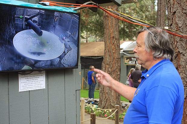 Lake Tahoe Wildlife Care co-founder Tom Millham explains the purpose of the display screens showing the river otter habitat during the nonprofit&#039;s annual open house on Sunday. The display screens allowed visitors to view the wildlife under care there while reducing the risk of increased human contact.