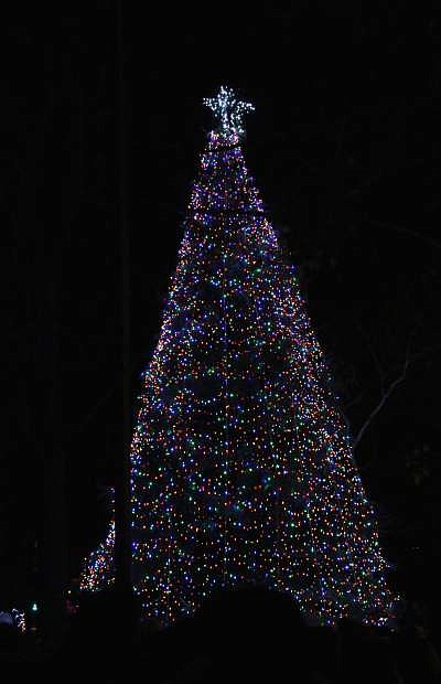 One of the several decorated trees is lit up on the State Capitol grounds Friday evening in Carson City.