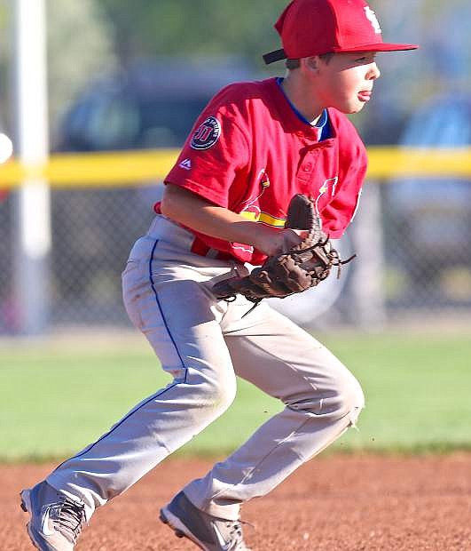 Cardinals shortstop Ashton Davenport scoops a grounder in a championship game against the Dodgers Friday evening at Governor&#039;s Field.