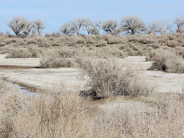 Information gathered at this week&#039;s Drought Forum will nwo go to Gov. Brian Sandoval. This parched land east of Fallon.