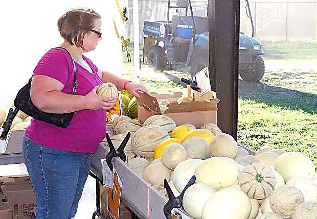 A woman searches for the right homegown melon at the 2012 Cantaloupe Fesitval in this file photo.