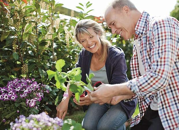 Gardening has health benefits, but people need to be aware of tips to help them avoid injuries.