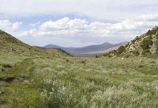 A view of a portion of the Bently land located in the Pine Nut Mountains that is up for purchase under the Southern Nevada Public Land Managerment Act.
