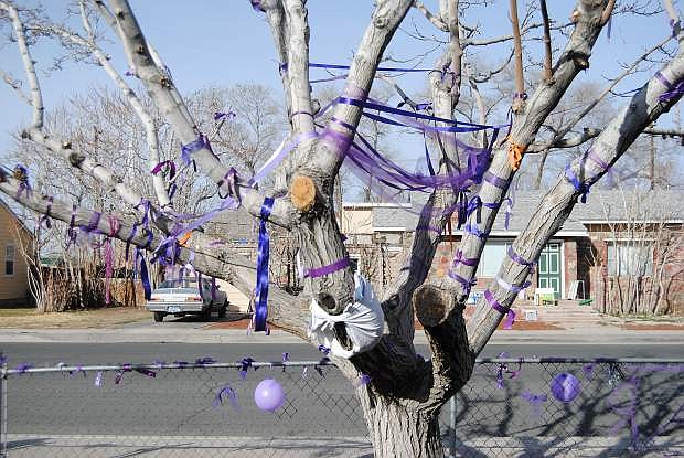 Friends and supporters of Taylar Hutchings have been invited to tie purple ribbons around a tree in her grandmother Mary Hutchings&#039; front yard. Mary Hutchings said Taylar loved climbing and playing in the tree with her siblings and that purple was her favorite color. Mary Hutchings&#039; house is located at 235 S Bailey St., if supporters would like toa  tie ribbon around the tree.