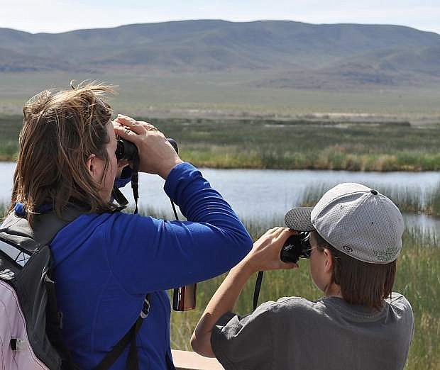 Parts of Nevada, such as the Stillwater Wildlife Refuge near Fallon, are popular bird watching spots.