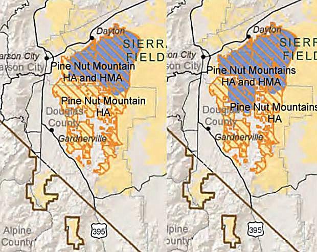 One of the alternatives included in the BLM&#039;s draft resource management plan includes the expansion of the Pine Nut herd management area south into Douglas County. The pesent area, in blue, lies well north of Fish Springs which is frequented by a band of horses.