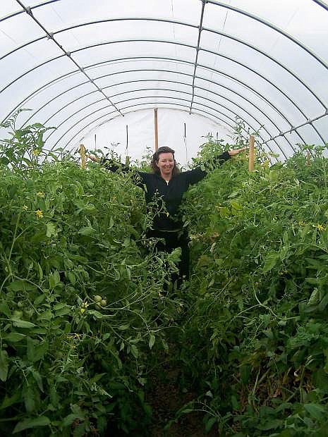 WNC will hold a hoop house workshop in Yerington.