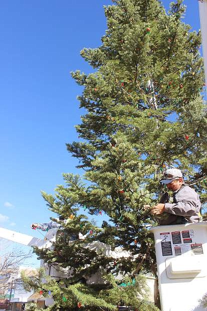 City crews spent a week preparing this 50-foot white fir tree for tonight&#039;s Christmas tree lighting.