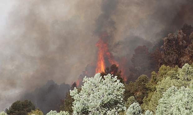 A wildland fire burned more than 4,500 acres almost one year ago east of Fallon.