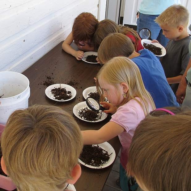 Children explore soil in a free activity in Silver City.