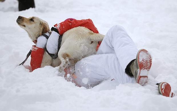 Mia Stein tackles her Labrador Frankie in the snow during a break in a winter storm, at a park in Boulder, Colo., Thursday, Jan. 5, 2017. A winter storm dropped several feet of snow in the Colorado high country, and over a foot in Front Range communities. (AP Photo/Brennan Linsley)