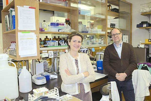 Dylan Kosma and Patricia Santos make up the Kosma-Santos lab at the University.