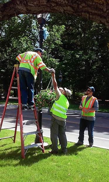 Parks and Recreation crews install flower baskets grown at The Greenhouse Project for downtown locations.
