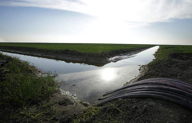 FILE - In this Feb. 25, 2016, file photo, water flows through an irrigation canal to crops near Lemoore, Calif. The federal regulators evaluating Gov. Jerry Brown&#039;s decades-old ambitions to re-engineer the water supplies from California&#039;s largest river are promising a status update Monday, June 26, 2017, as Brown&#039;s $16 billion proposal to shunt part of the Sacramento through two mammoth tunnels awaits a crucial yes or no from national agencies. (AP Photo/Rich Pedroncelli, File)