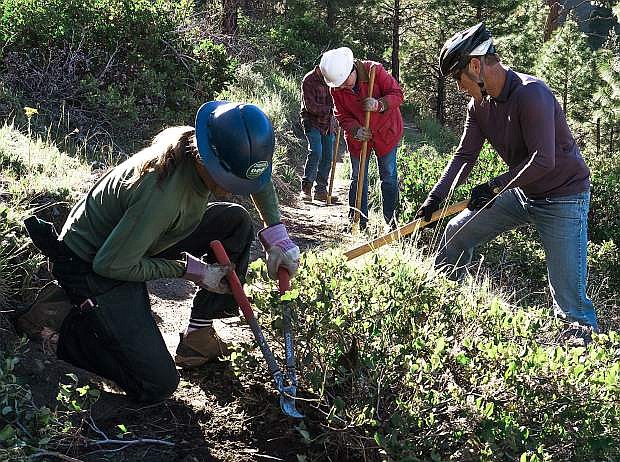 Muscle Powered volunteers work on a section of Ash Canyon trails above Carson City, Nev., on Friday, May 12, 2017. Photo by Cody Blue/Nevada Photo Source