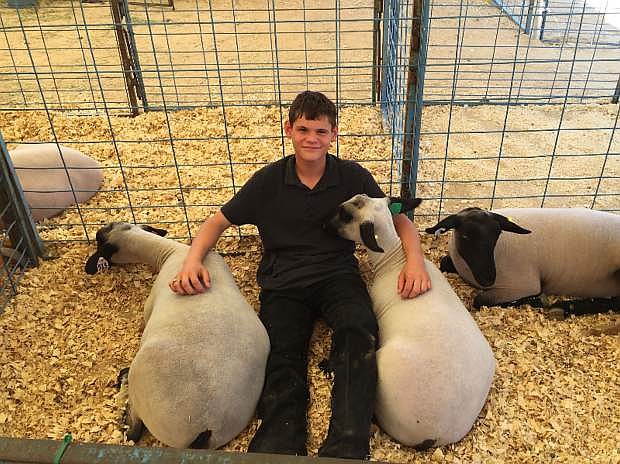 Caleb Apple, 16, sits in the pen with his 4-H sheep before the show and auction, which will be 9 a.m. today at Fuji Park.