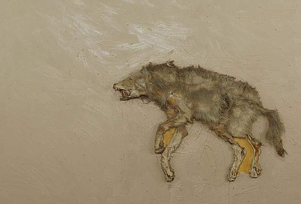 Coyote by Theodore Waddell.