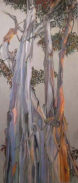 Mary Warner, Eucalyptus, oil on linen, 2015