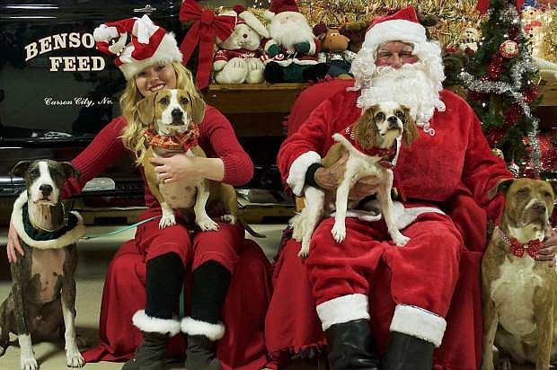 Carson Animal Services Initiative is holding its annual Pictures with Santa fundraiser on Dec. 9, from 10 a.m. to 2 p.m., at Benson&#039;s Feed and Tack, 2750 Highway 50.