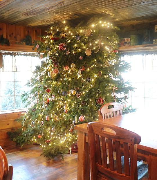 Where&#039;s the tree topping? This is only a part of the Christmas Tree inside of Stone Cabin Coffee, 480 East Williams Aveneue; the topping goes through the roof, which can be seen outside form the entrance.