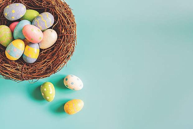 Coloeful easter eggs in nest on pastel color background with space.Colorful easter eggs in nest on pastel color background with space.