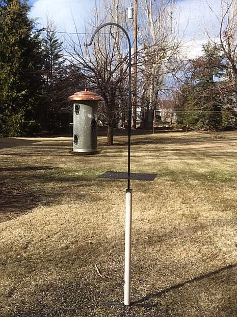 A large bird feeder hangs from a pole.