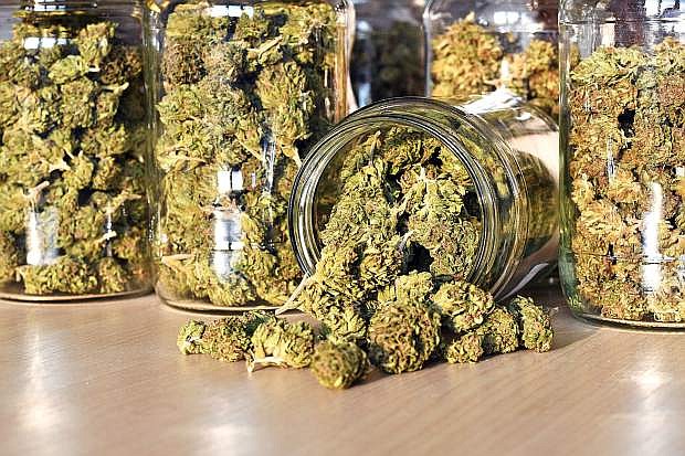 Dry and trimmed cannabis buds, stored in a glass jars. Medical cannabis