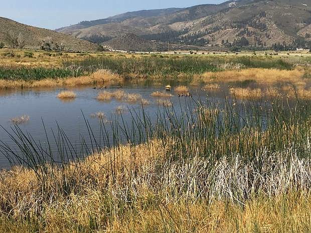 Washoe Lake State Park is hosting a bird program on April 14 and a full moon hike on April 28.