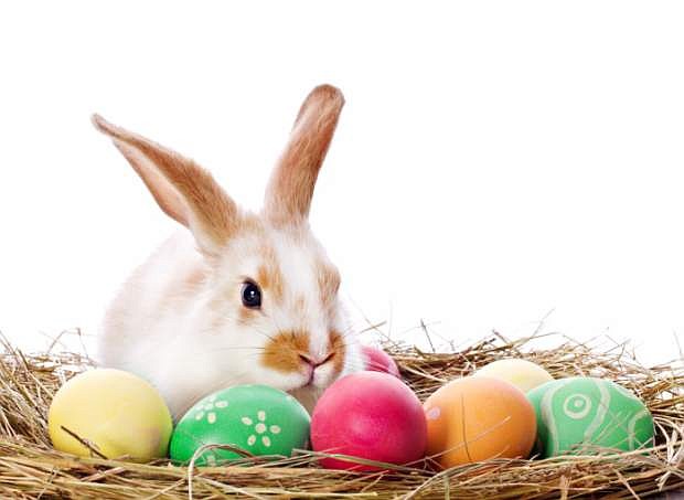 Bunnies are so cute and fun! Just be sure you know the care of these pets before you get one this Easter.