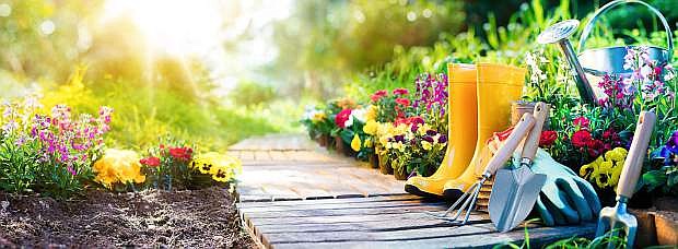 Set Of Tools For Gardener And Flowerpots In Garden