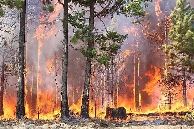 Nevada&#039;s Board of Examiners on Tuesday voted to add just more than $1 million to the Division of Forestry budget for firefighting costs.