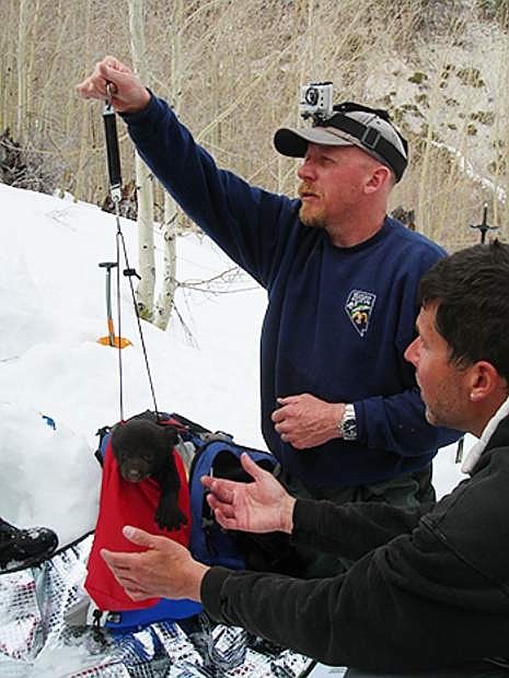 Carl Lackey, a bear specialist with the Nevada Department of Wildlife, will present at the Carson City Leisure Hour Club meeting on April 18. Reservations are due by April 15.