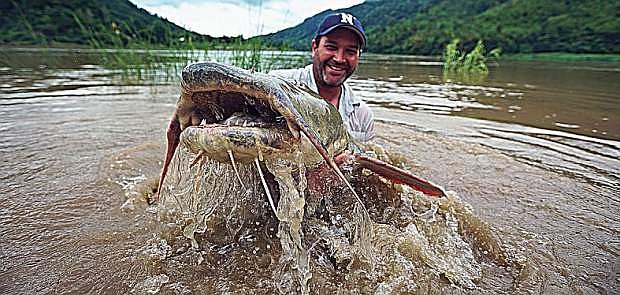 The Salween River Basin has an extreme diversity of animals, and is home to some 50 fish species found no where else on Earth. Hogan found more than five species of fish that grow more than 100 pounds, like this catfish, while filiming for his Nat Geo WILD Monster Fish show.