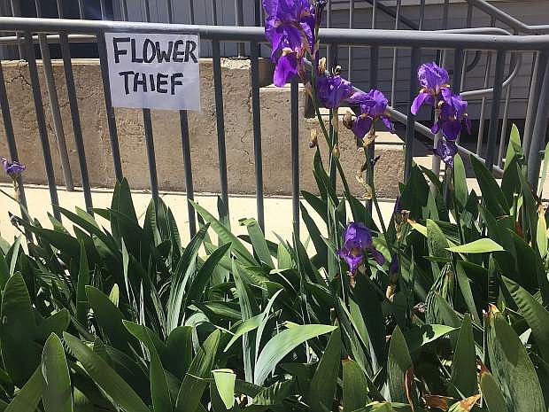 Flower thieves need to beware.