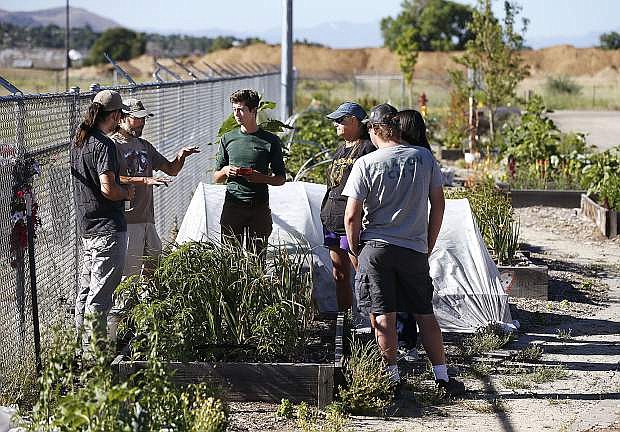 Manager Cory King, left, works with his team at the Greenhouse Project in Carson City, Nev., on Friday, June 29, 2018. The program, which provides 2,000 pounds of fresh produce annually to local service organizations, is largely funded by the annual Concert Under the Stars fundraiser. Photo by Cathleen Allison/Nevada Momentum