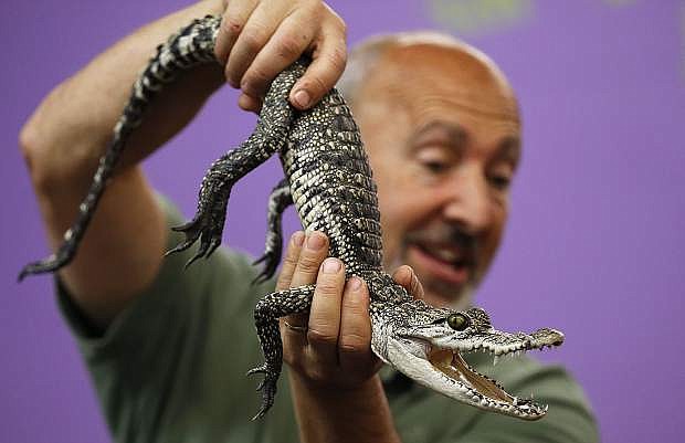 Gabe Kerschner, with Conservation Ambassadors, talks about Steve, a Morelet&#039;s crocodile during a special presentation at the Boys &amp; Girls Clubs of Western Nevada on Tuesday. The program, which also includes an evening show at the library, is part of the Carson City Library&#039;s Summer Learning Challenge.